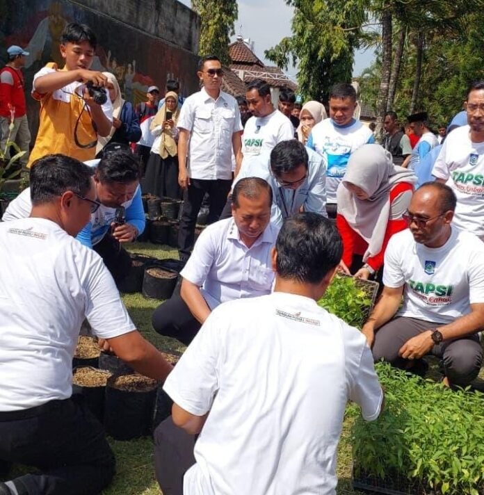 400 Ribu Bibit Cabai Gratis dari Pemprov NTB Diserap Sekolah