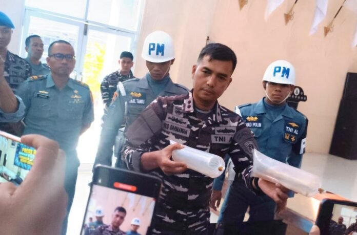 Penyelundupan 10 Ribu Benih Lobster Digagalkan, Pelaku Kabur
