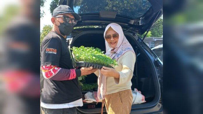 Kendalikan Inflasi, Anggota DPRD Kota Mataram Bagikan Bibit Cabai