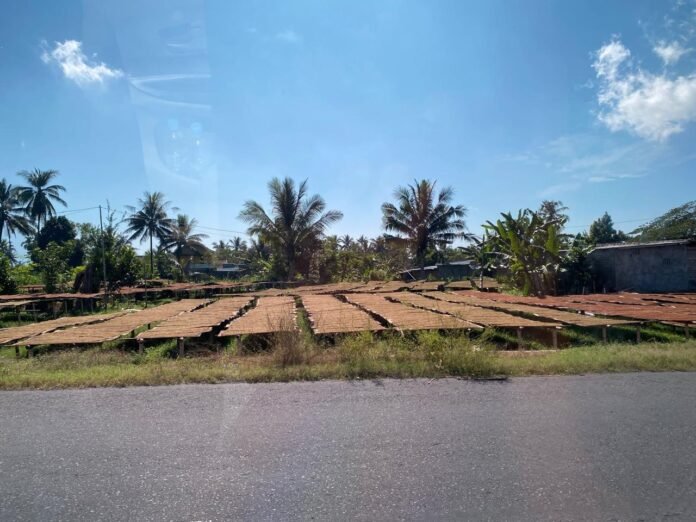 Lotim Tak Ingin Sekadar Jadi Pemasok Bahan Baku Rokok