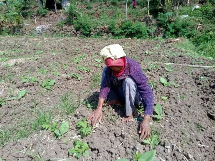 DBHCHT Fokus untuk Kesejahteraan Petani Tembakau