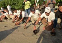 Dari Bandara ke Laut, BIZAM Perkuat Wisata Bahari Lombok Utara