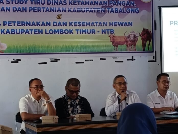 Tabalong Kalsel Belajar Peternakan ke Lotim