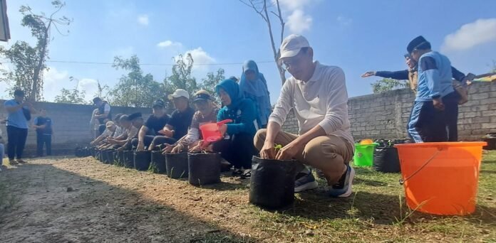 Tekan Inflasi, Loteng Mulai Gerakkan Tanam 20 Ribu Bibit Cabai