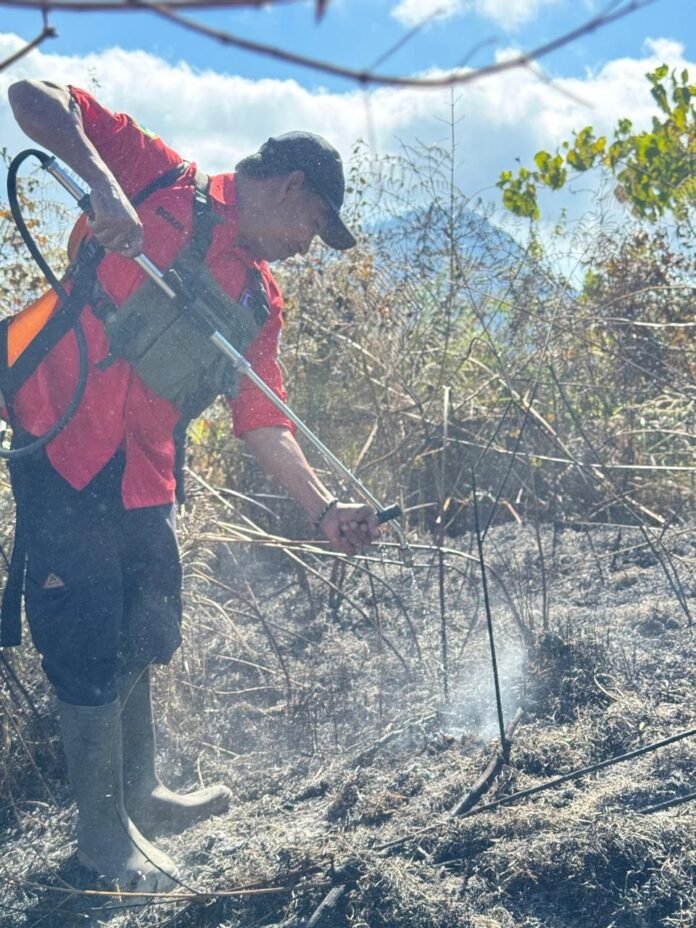 Lahan TNGR yang Terbakar Mencapai 30 Hektare