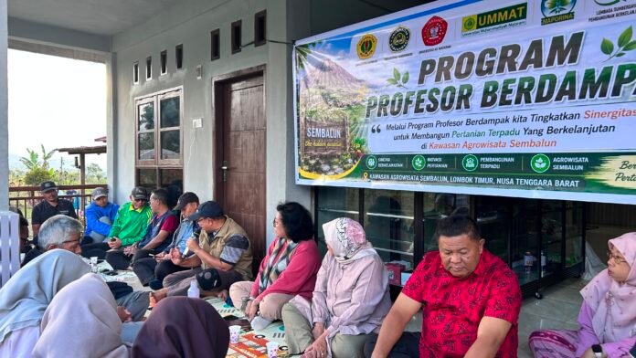 Profesor Turun Gunung, Ikhtiar Mengembalikan Kejayaan Kopi Sembalun