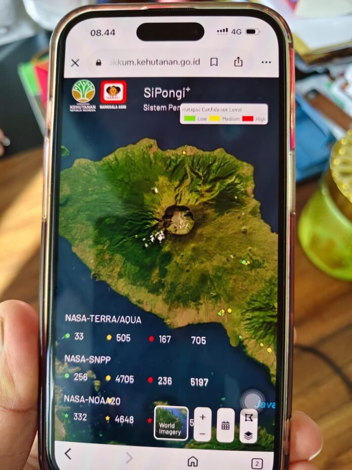 Kondisi sekitar kawasan gunung Tambora yang sudah tidak terdapat titik api.