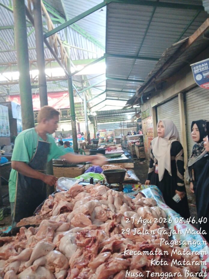 Perayaan Maulid, Harga Daging Ayam Mencapai Rp47 Ribu Per Kilogram