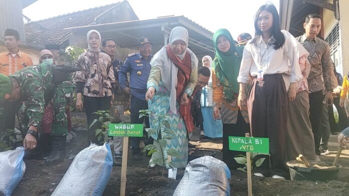 Kendalikan Inflasi dan Tanamkan Karakter, Wabup Lobar Mulai Gerakan Menanam Cabai Serentak di Sekolah