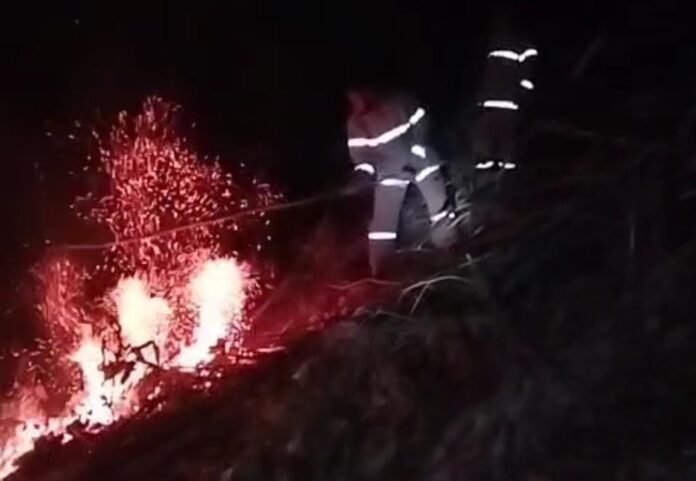 Kebakaran Lahan dan Hutan di Lombok Barat Melonjak