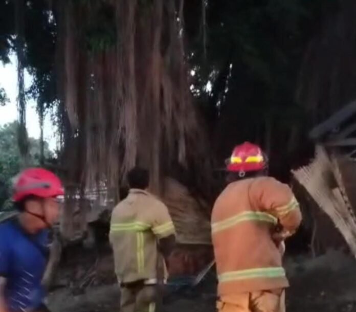 Kebakaran Pohon Beringin Raksasa di Jalur Gunungsari Hebohkan Warga