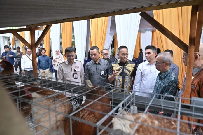 Dukung Program Desa Berdaya NTB, Bank NTB Syariah Salurkan Bantuan Budidaya Ayam Petelur di Desa Lendang Nangka Utara