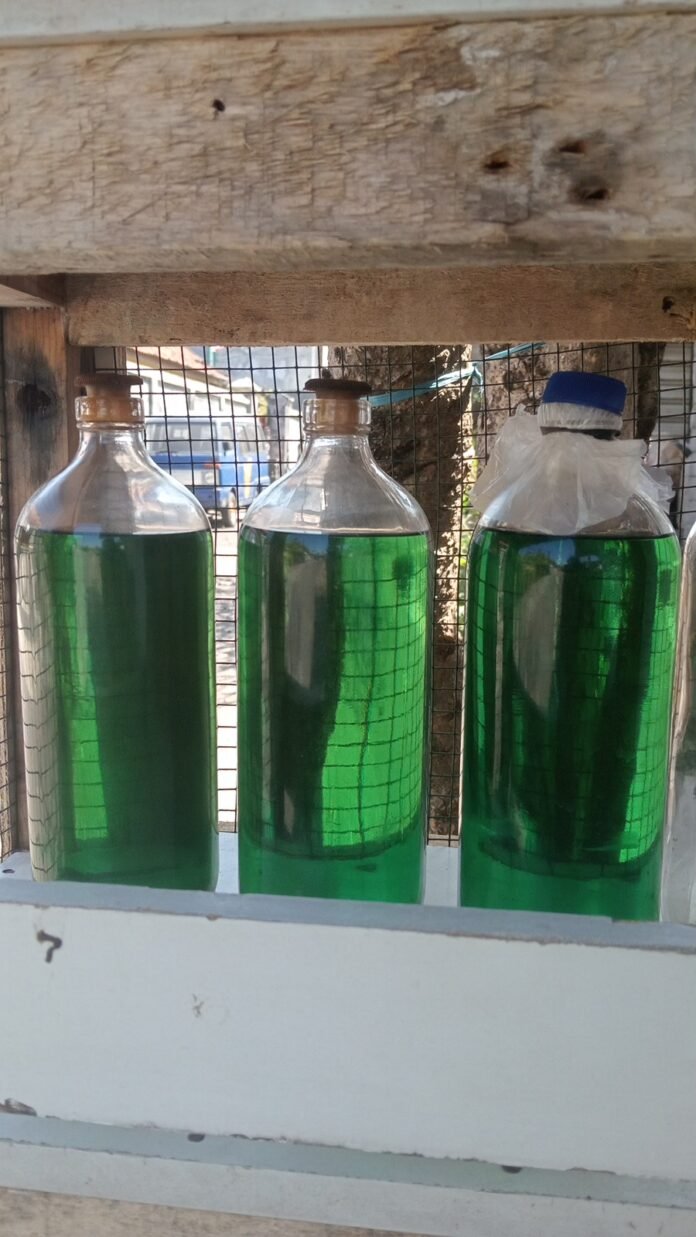Antrean Panjang dan Pasokan Terbatas, Harga Pertalite Eceran Melonjak