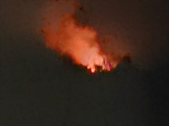 Kawasan Hutan Gunung Rinjani Kembali Terbakar