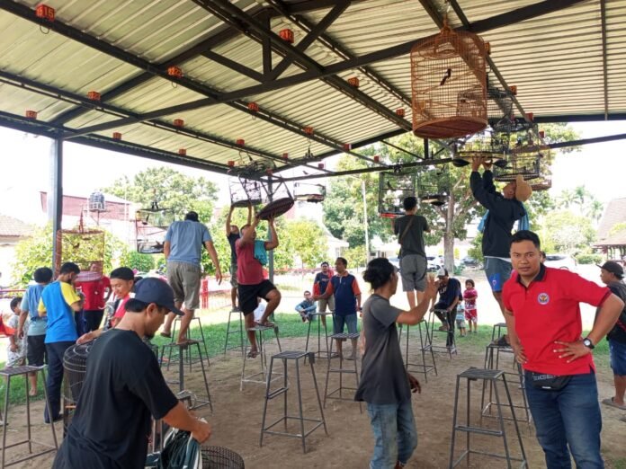 Pencinta Burung di Mataram Bisa Raup Untung Puluhan Juta