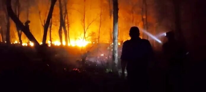 Enam Wilayah di Sumbawa Rentan Karhutla