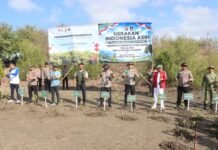 Gerakan Tanam 10 Ribu Pohon Dimulai dari Sirkuit Mandalika Gerakan Tanam 10 Ribu Pohon Dimulai dari Sirkuit Mandalika