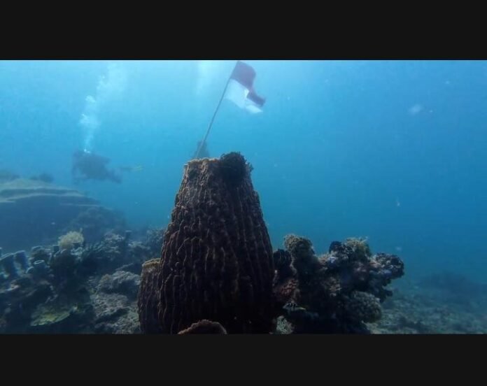 Simpan Terumbu Karang Indah, Ampenan Miliki Destinasi Wisata Bawah Laut