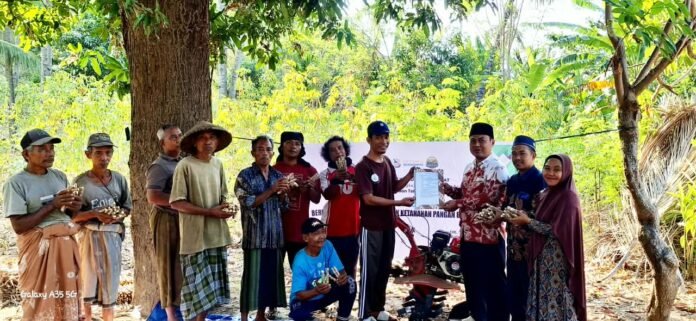 Ummat Perkuat Produksi, Pemasaran, dan Kemandirian Petani Lewat “Zakat Food Hub Lombok”