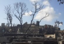 Musibah Kebakaran Kampung Adat Sade Jadi Pengingat Membangun Destinasi Wisata yang Berkelanjutan dan Tangguh Bencana