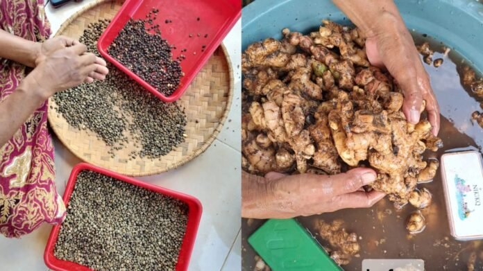 Harum Kopi, Jejak Asa Dibalik Dapur Sederhana Bata Merah di Desa Marga Karya  
