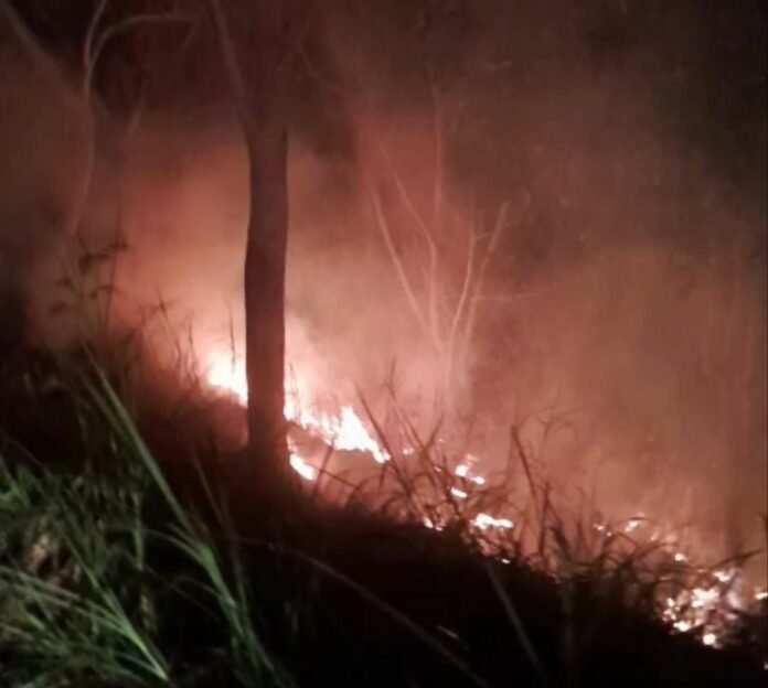 Perbukitan di Kawasan Senggigi Lombok Barat Terbakar