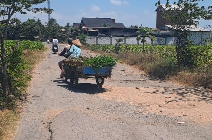 16 tahun Tak Tersentuh Perbaikan, Ruas Jalan Beleka-Lingkuk Buak Rusak Parah