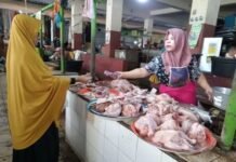 Bukan Faktor MBG, Ini Penyebab Naiknya Harga Ayam Broiler di NTB Bukan Faktor MBG, Ini Penyebab Naiknya Harga Ayam Broiler di NTB