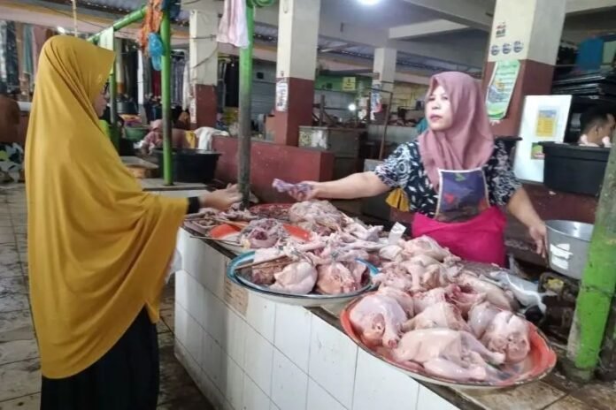 Bukan Faktor MBG, Ini Penyebab Naiknya Harga Ayam Broiler di NTB