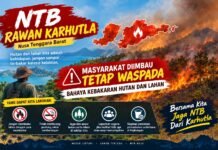 NTB Masuk Urutan Enam Wilayah Rawan Karhutla NTB Masuk Urutan Enam Wilayah Rawan Karhutla