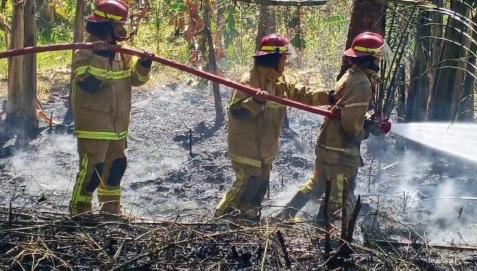 Kebakaran Kerap Terjadi di Wilayah Gerung, Batulayar, dan Gunungsari