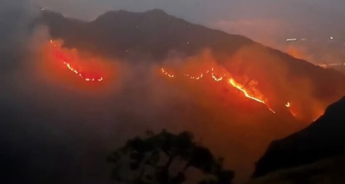 Kebakaran Meluas, BTNGR Tutup Dua Jalur Pendakian Rinjani