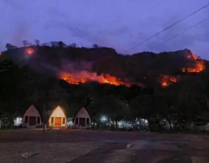 Karhutla Bukit Teluk Nara, Akses Sulit, Api Padam Tengah Malam