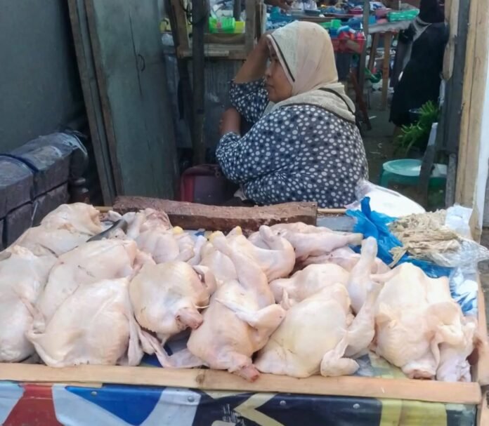 Harga Daging Ayam di Bima Melonjak