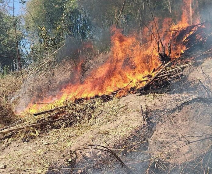 Satu Hektare Lahan Perbukitan Monto Kuripan Lombok Barat Terbakar