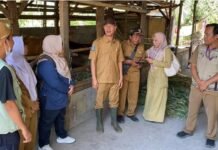 Dorong Peternak Lakukan Vaksinasi, Disnakeswan NTB Klaim Tren Kasus PMK Mulai Menurun Dorong Peternak Lakukan Vaksinasi, Disnakeswan NTB Klaim Tren Kasus PMK Mulai Menurun