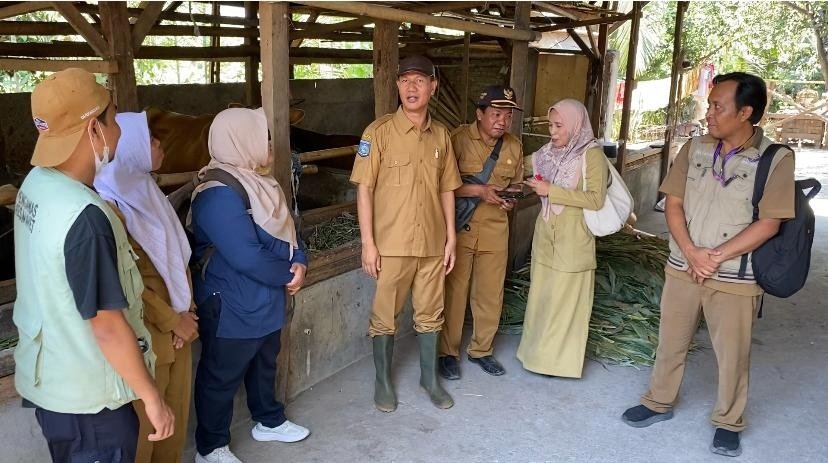 Dorong Peternak Lakukan Vaksinasi, Disnakeswan NTB Klaim Tren Kasus PMK Mulai Menurun