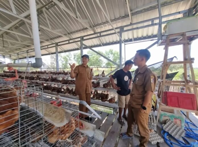 60 Persen Desa Berdaya NTB Pilih Usaha Peternakan