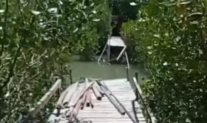Pemerintah Diharapkan Bantu Perbaiki Fasilitas Rusak di Ekowisata Mangrove Tanjung Batu