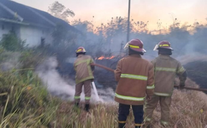 Dampak Kemarau Panjang, Kebakaran di Lobar Meningkat Hampir Dua Kali Lipat