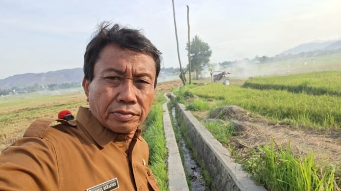 Dampak El-Nino, Jadwal Tanam Petani Mundur hingga Tiga Bulan