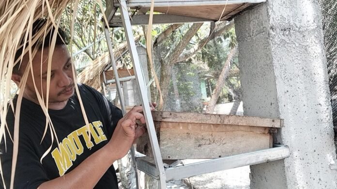 SPPG Taman Ayu Manfaatkan Pekarangan Kembangkan Budi Daya Madu Trigona