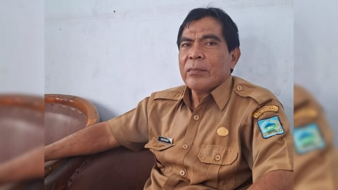 Dompu Terima Program Peremajaan Mete 754 Hektare