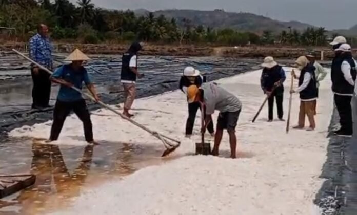 Hasil Produksi Berlimpah, DKPKP Dorong PDAM Beli Garam Petani di Cendimanik Sekotong
